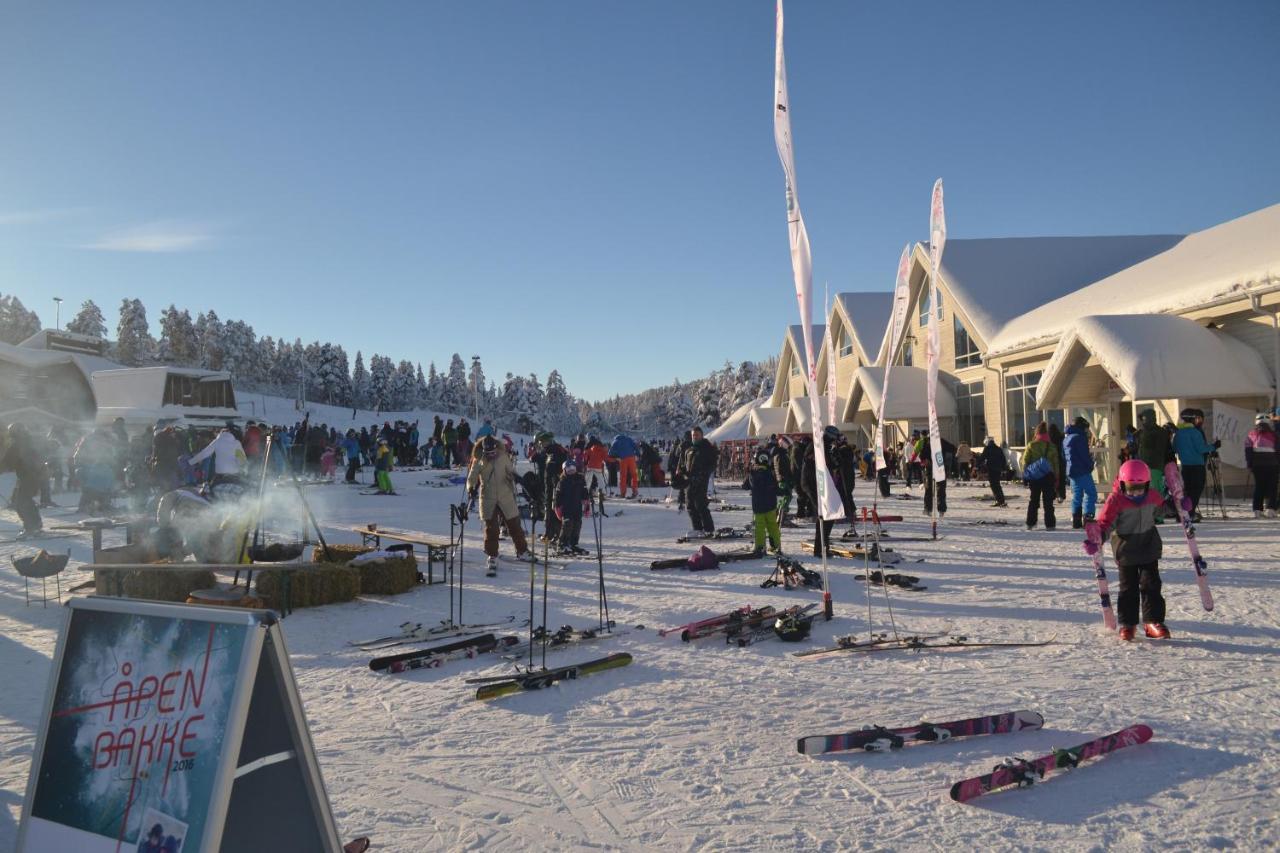Ski Lodge Gautefall Exterior photo