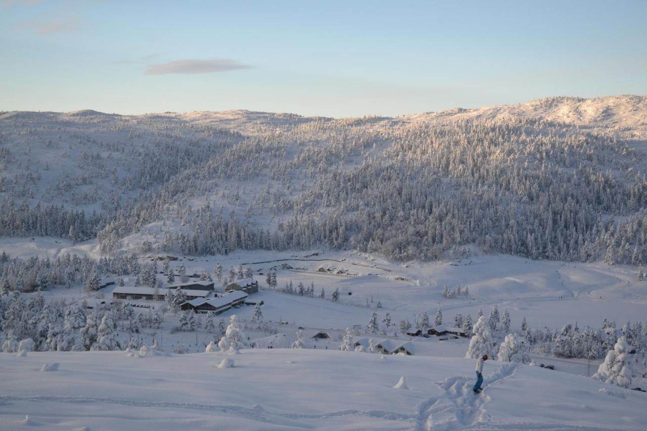 Ski Lodge Gautefall Exterior photo
