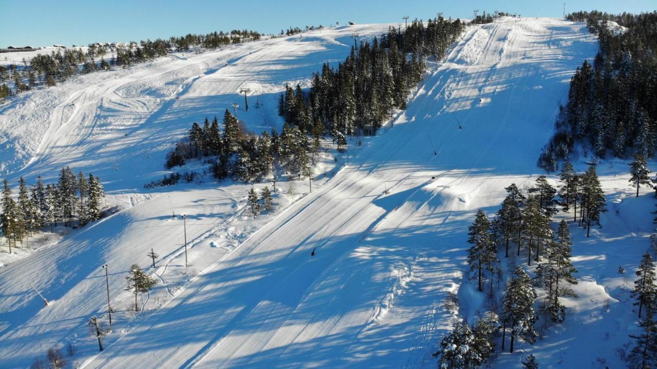 Ski Lodge Gautefall Exterior photo